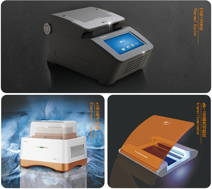 大象视颇dxvv55xyz