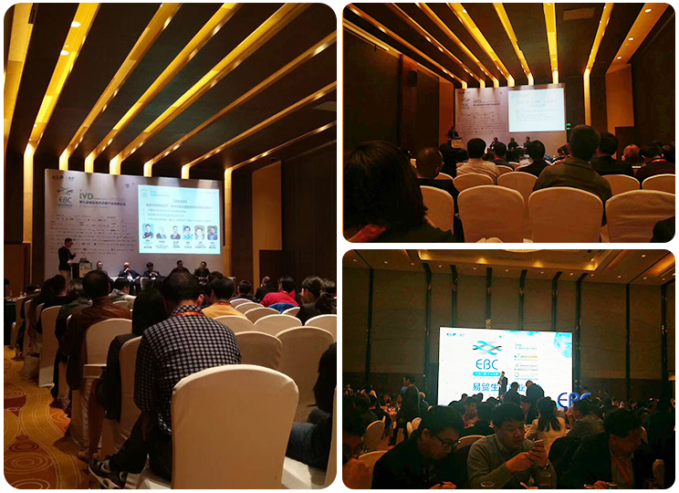 大象视颇dxvv55xyz