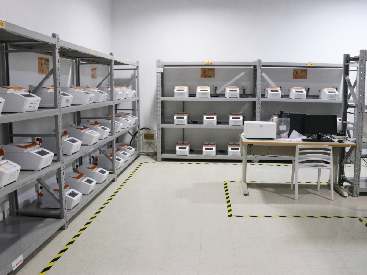 大象视颇dxvv55xyz