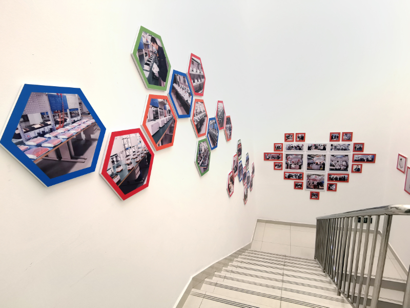 大象视颇dxvv55xyz