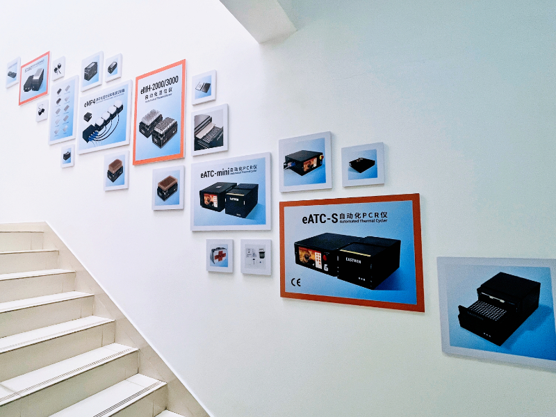 大象视颇dxvv55xyz