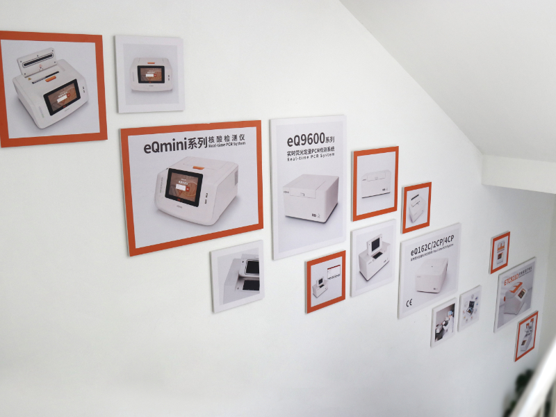 大象视颇dxvv55xyz