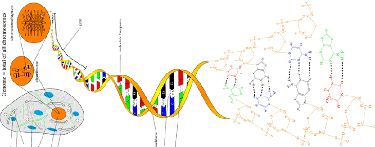 大象视颇dxvv55xyz