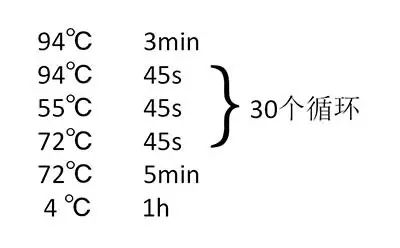 大象视颇dxvv55xyz