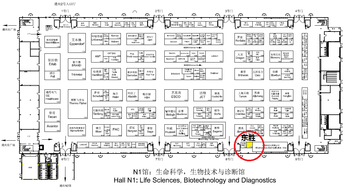 大象视颇dxvv55xyz