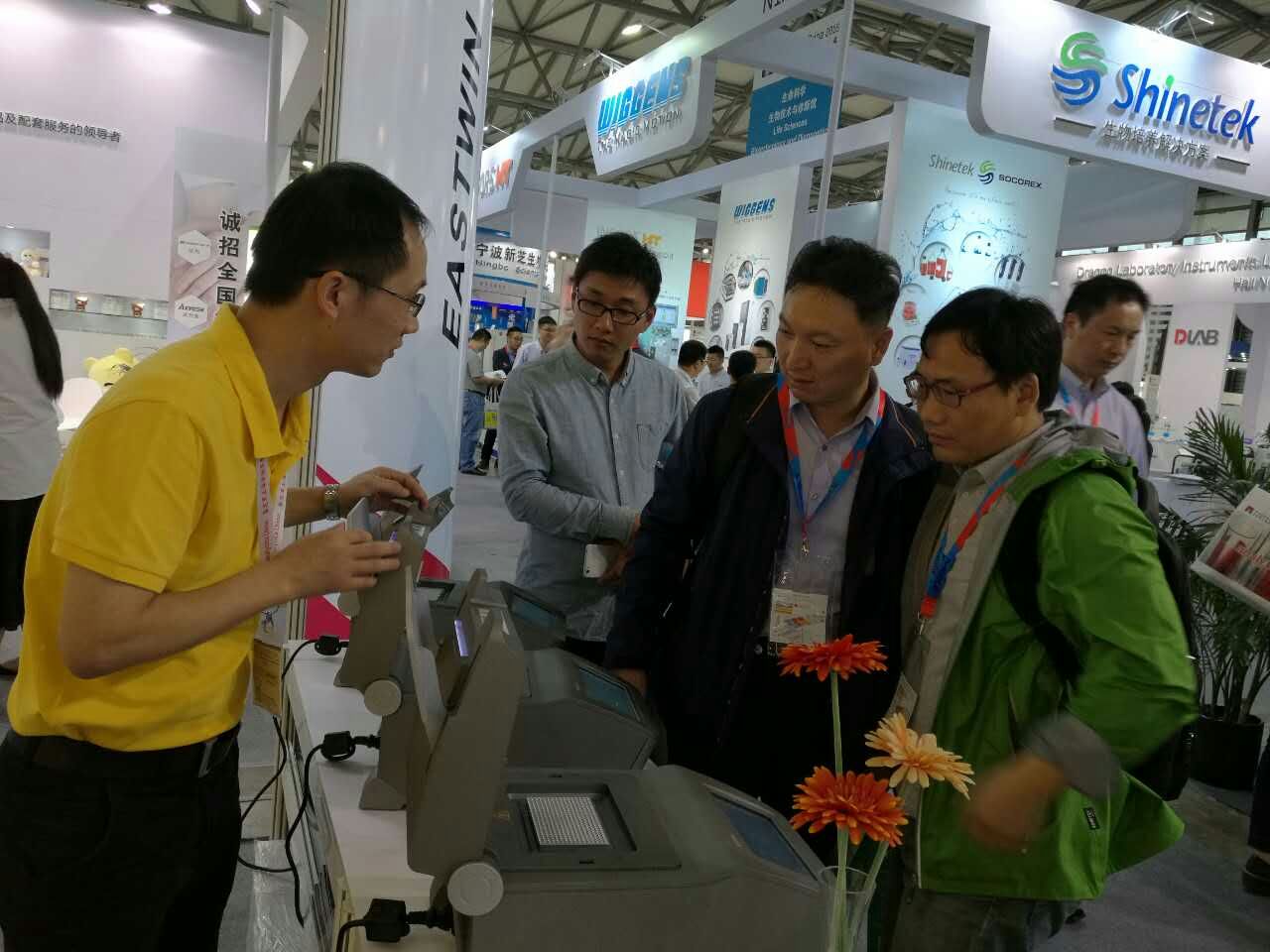 大象视颇dxvv55xyz