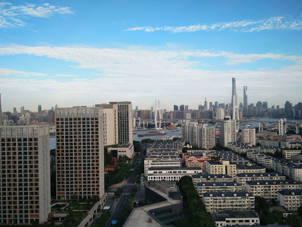 大象视颇dxvv55xyz