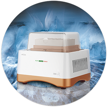 大象视颇dxvv55xyz