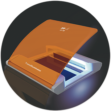 大象视颇dxvv55xyz