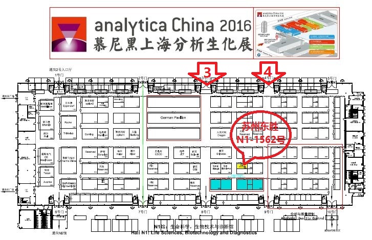 大象视颇dxvv55xyz