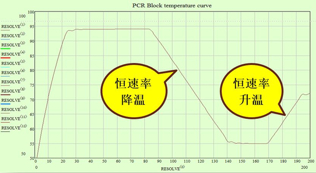 大象视颇dxvv55xyz
