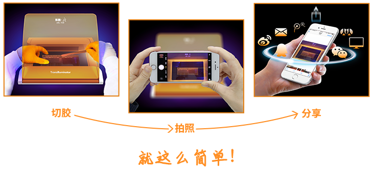 大象视颇dxvv55xyz