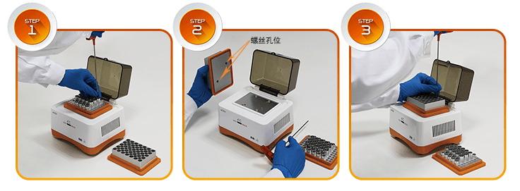 大象视颇dxvv55xyz