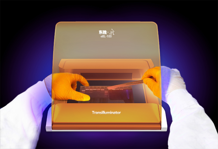 大象视颇dxvv55xyz