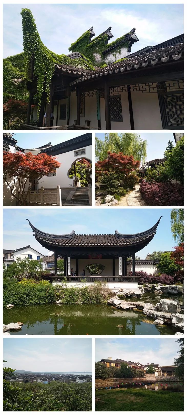 大象视颇dxvv55xyz