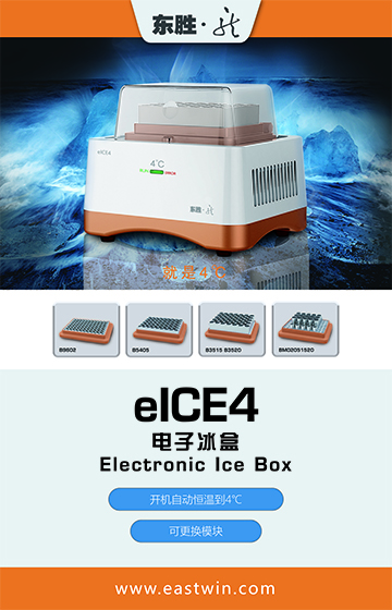 大象视颇dxvv55xyz