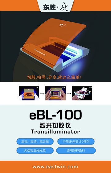 大象视颇dxvv55xyz