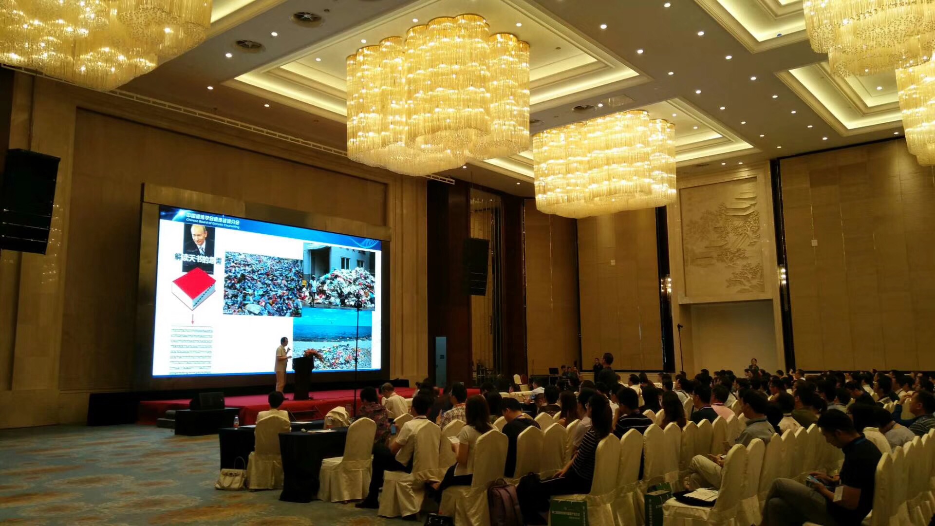 大象视颇dxvv55xyz