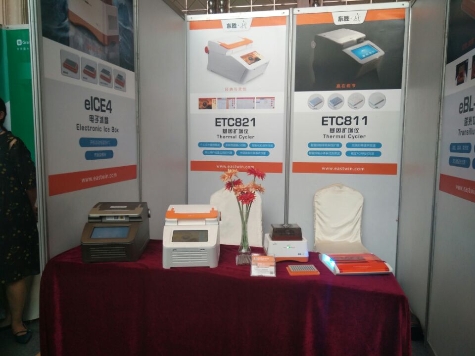 大象视颇dxvv55xyz