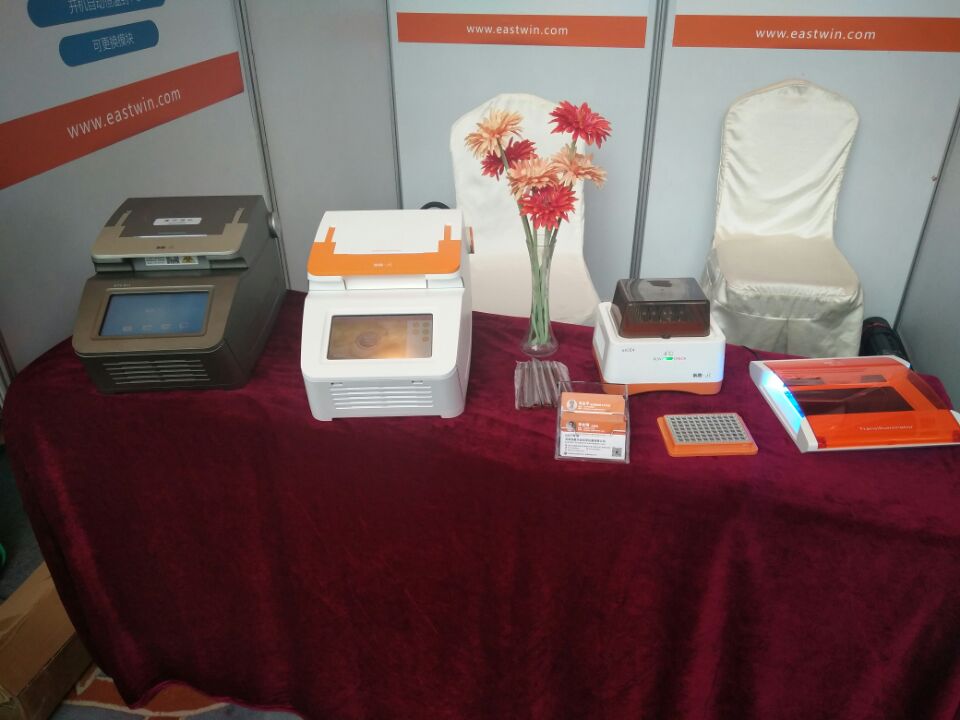 大象视颇dxvv55xyz