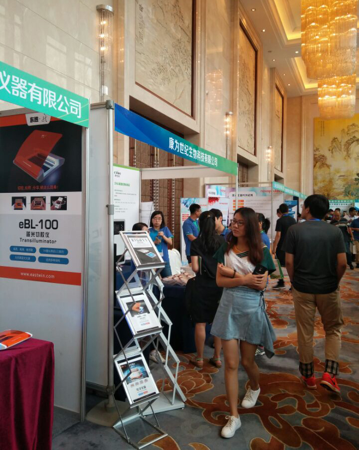 大象视颇dxvv55xyz