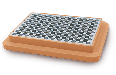 大象视颇dxvv55xyz