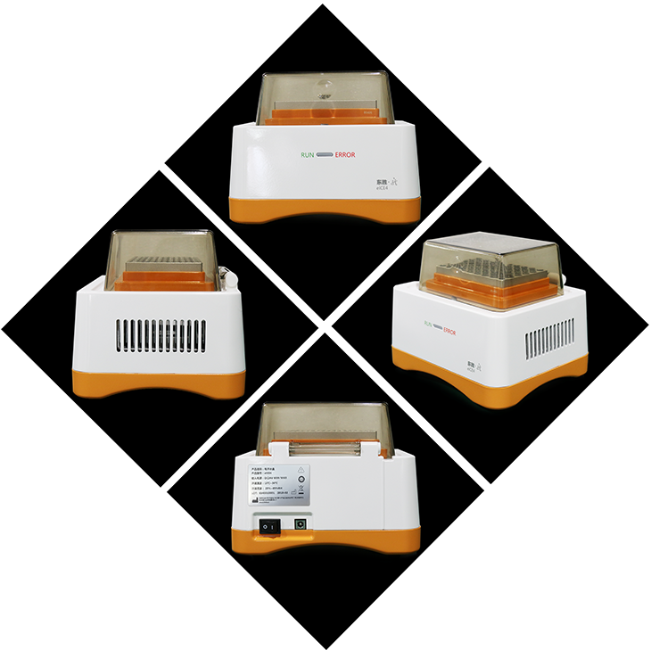 大象视颇dxvv55xyz