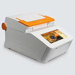 大象视颇dxvv55xyz