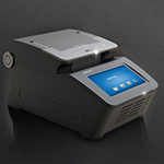 大象视颇dxvv55xyz