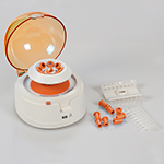 大象视颇dxvv55xyz