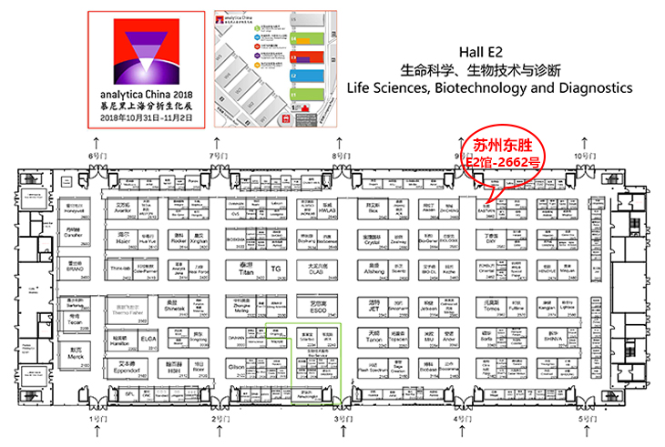 大象视颇dxvv55xyz