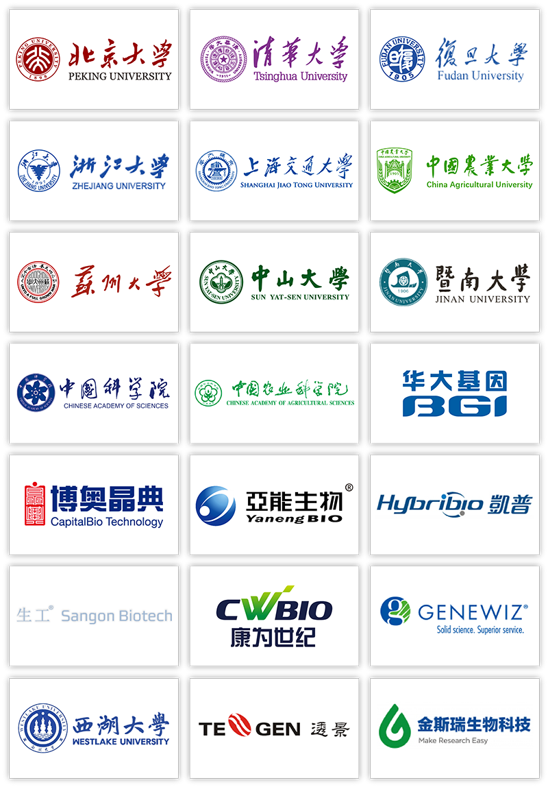 大象视颇dxvv55xyz