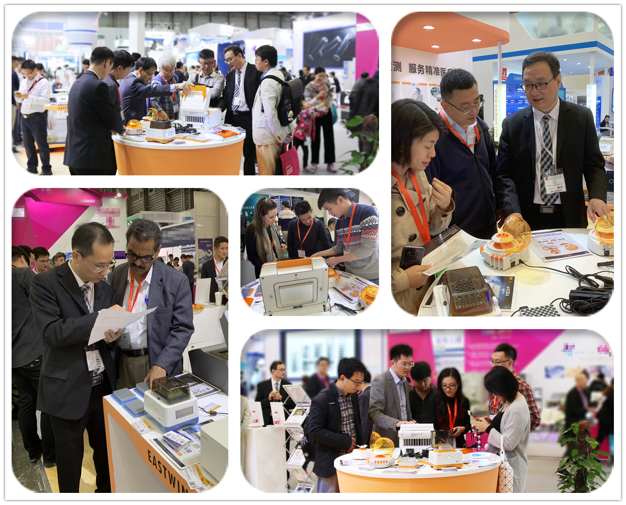 大象视颇dxvv55xyz