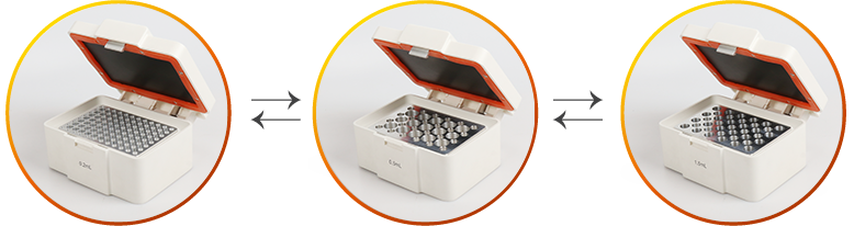 大象视颇dxvv55xyz