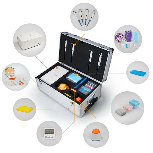 大象视颇dxvv55xyz