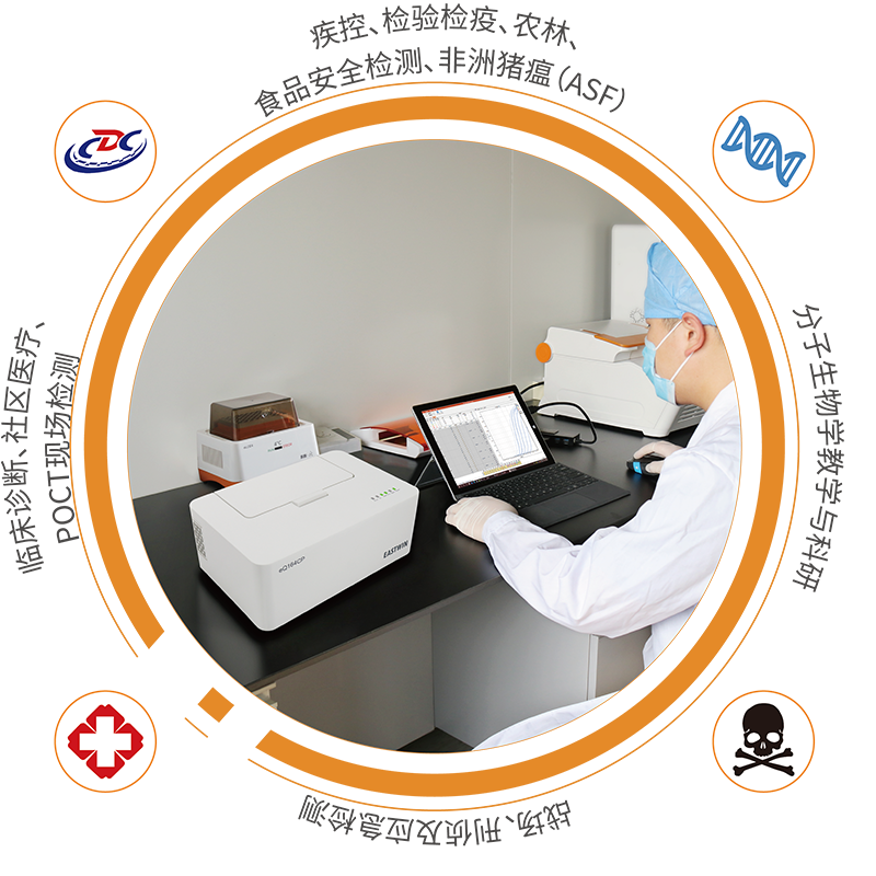 大象视颇dxvv55xyz