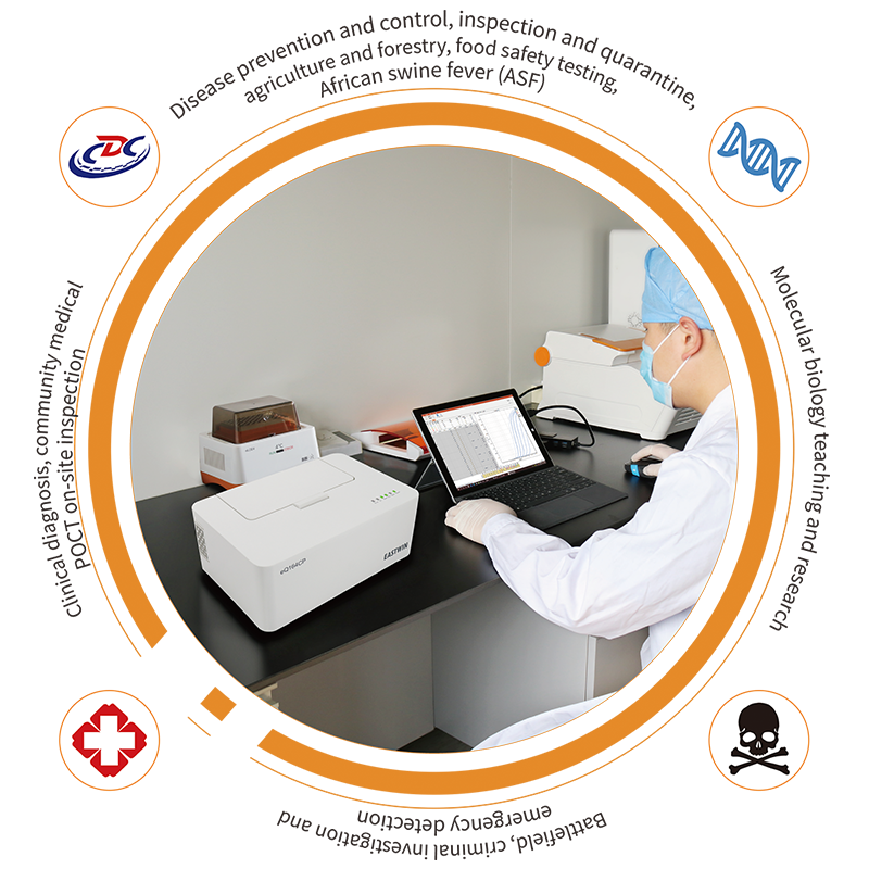 大象视颇dxvv55xyz