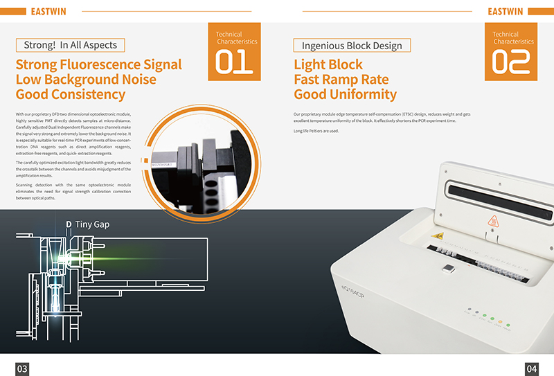 大象视颇dxvv55xyz