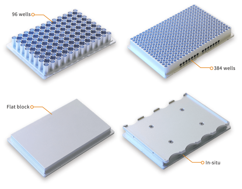 大象视颇dxvv55xyz