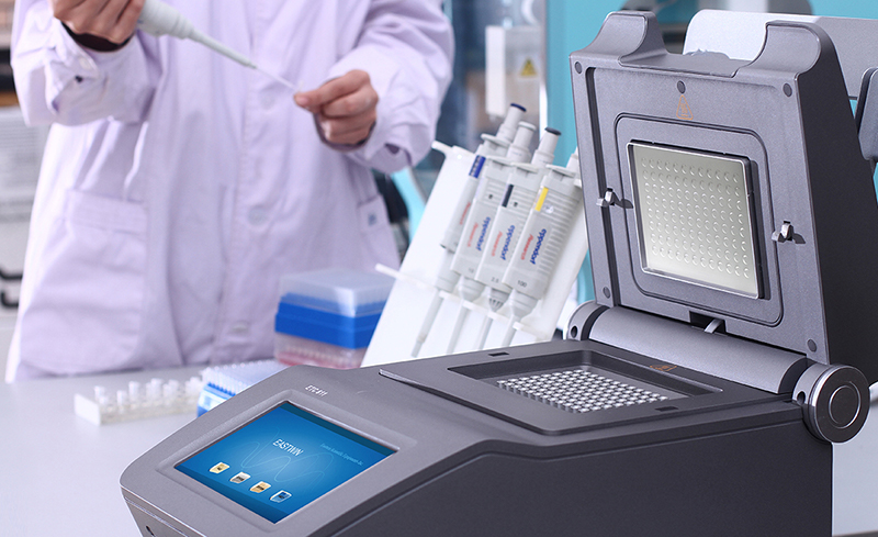 大象视颇dxvv55xyz