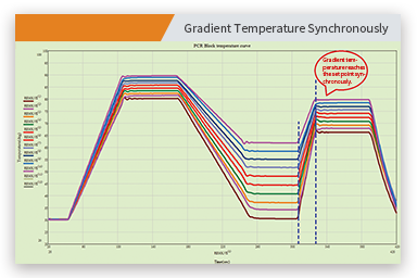 大象视颇dxvv55xyz