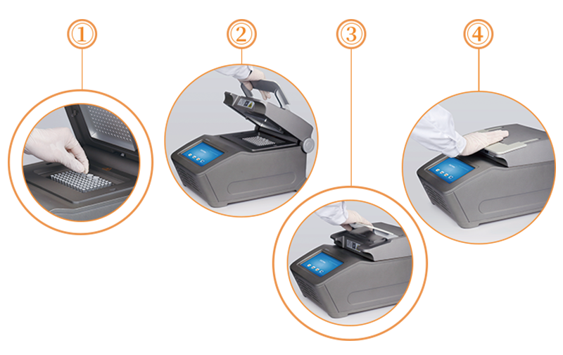 大象视颇dxvv55xyz