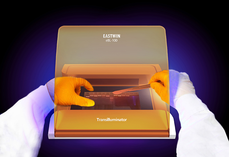 大象视颇dxvv55xyz