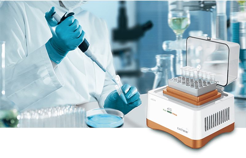 大象视颇dxvv55xyz