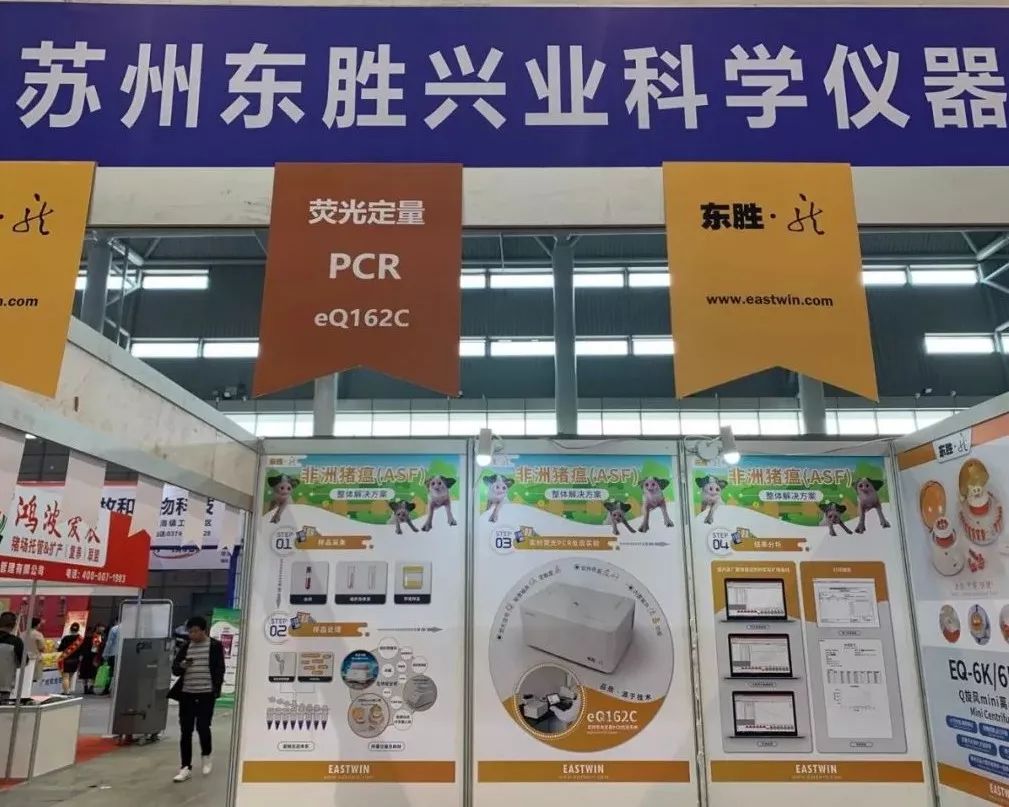 大象视颇dxvv55xyz