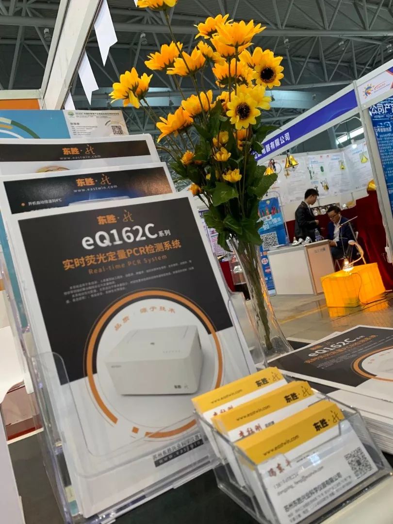 大象视颇dxvv55xyz