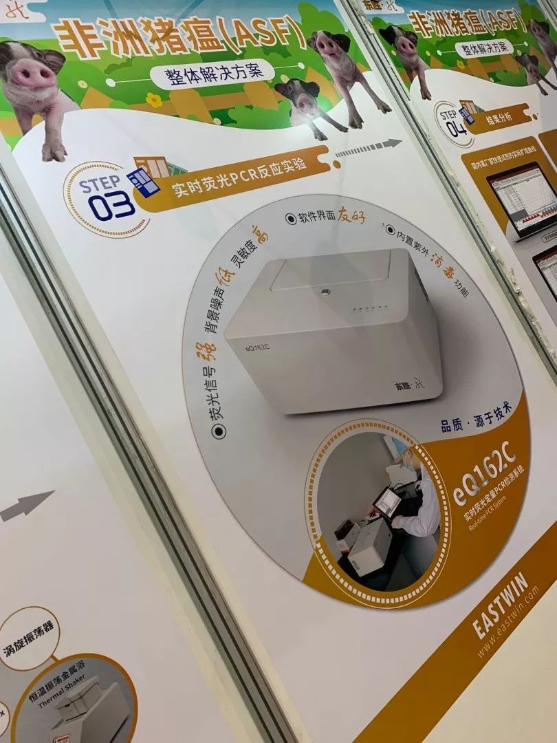 大象视颇dxvv55xyz