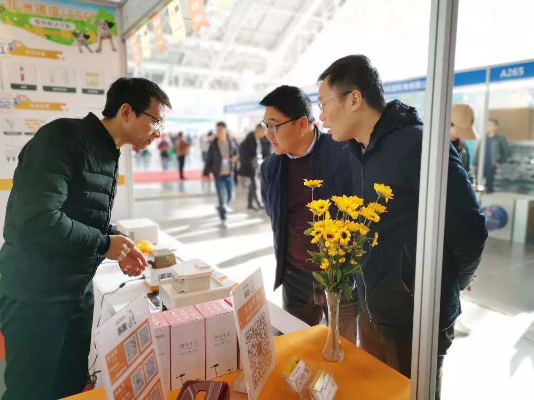 大象视颇dxvv55xyz