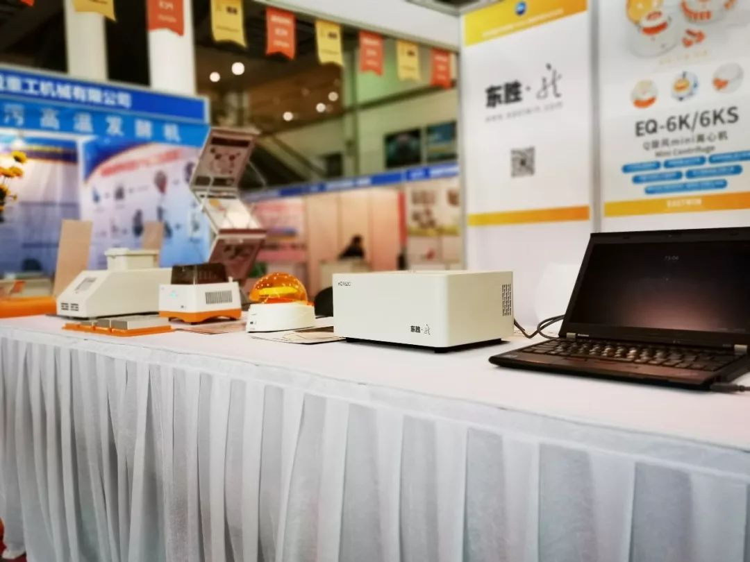 大象视颇dxvv55xyz