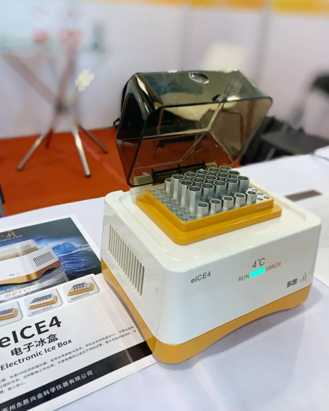 大象视颇dxvv55xyz